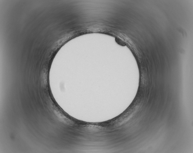 X0000110760393200907271148