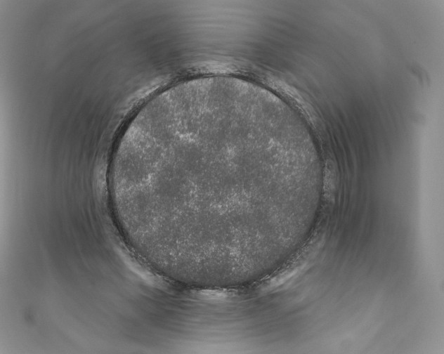X0000110760394200907271148