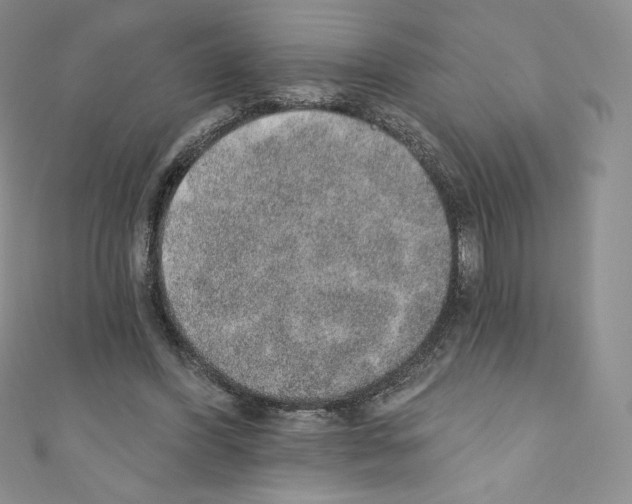 X0000110760396200907271148