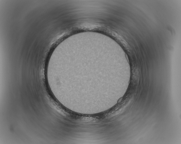 X0000110760399200907271148