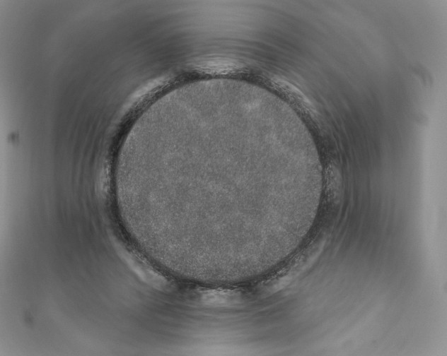 X0000110760400200907271148