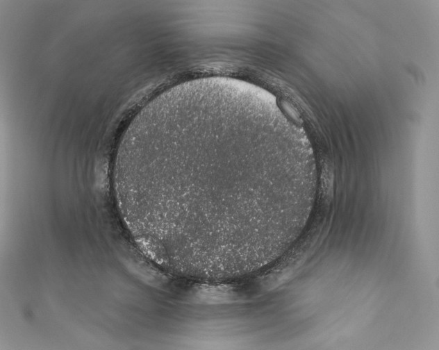 X0000110760403200907271148