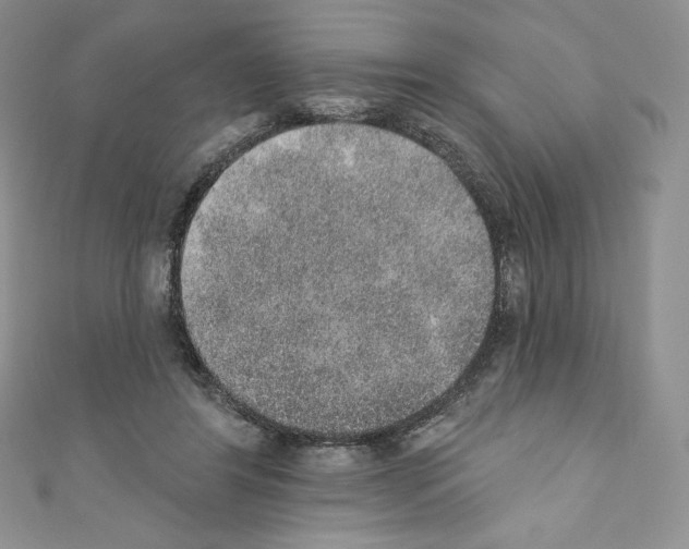 X0000110760404200907271148