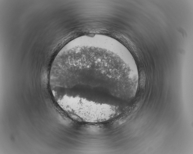 X0000110760405200907271148