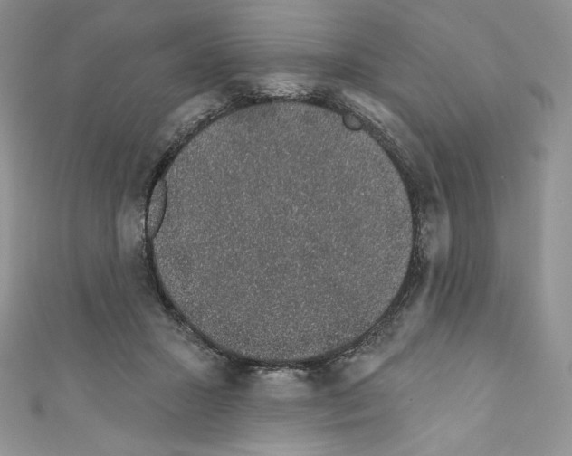 X0000110760407200907271148