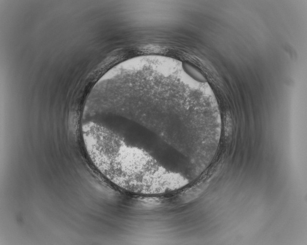 X0000110760409200907271148
