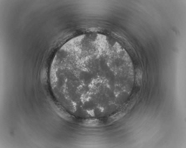 X0000110760410200907271148