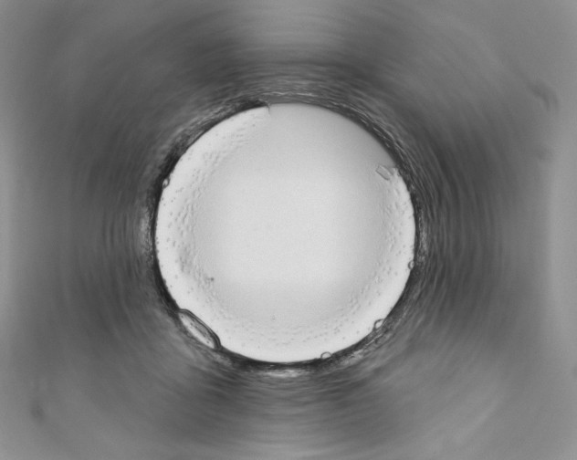X0000110760411200907271148