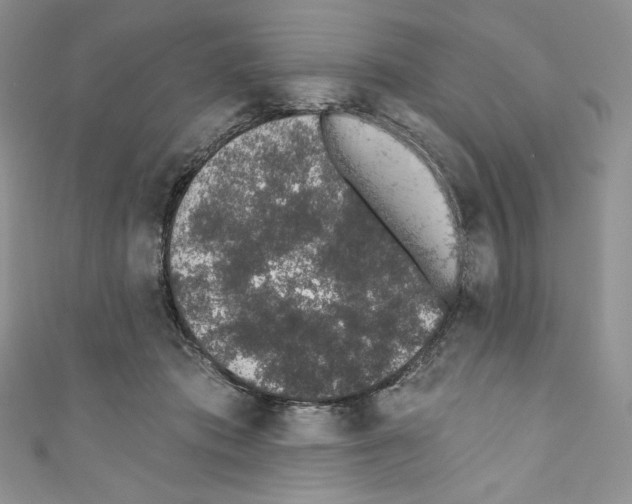 X0000110760413200907271148
