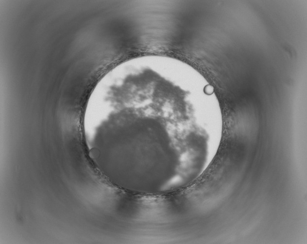 X0000110760415200907271148