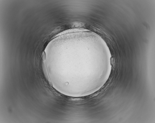 X0000110760417200907271148