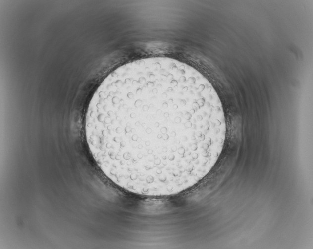 X0000110760418200907271148