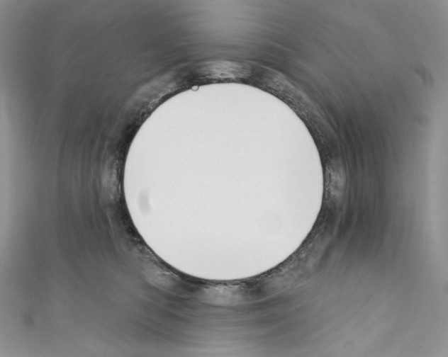 X0000110760422200907271148