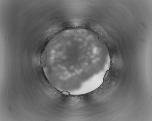 X0000110760423200907271148