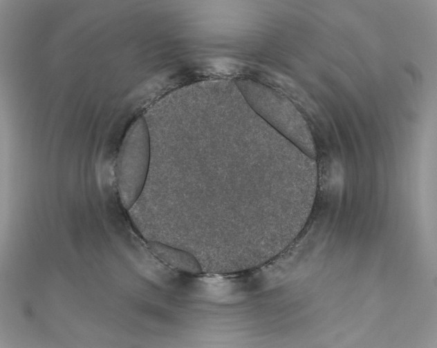 X0000110760425200907271148