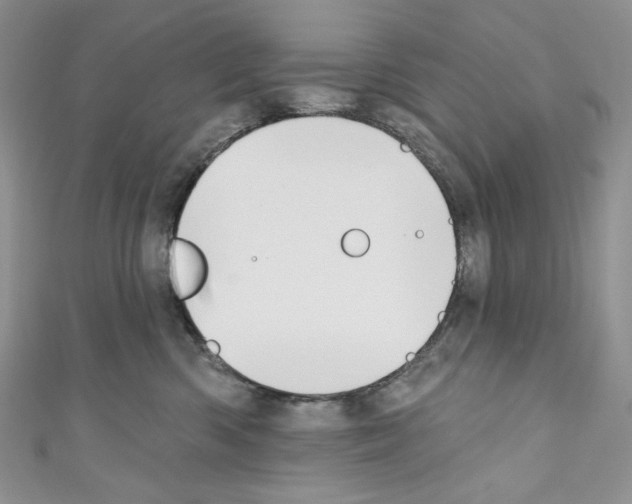 X0000110760426200907271148