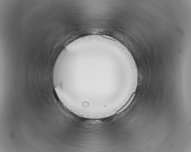 X0000110760427200907271148