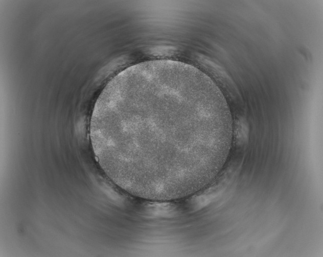 X0000110760428200907271147