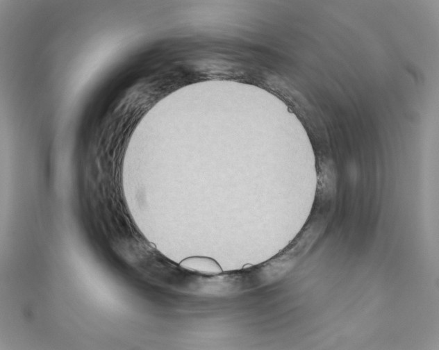 X0000110760430200907271147
