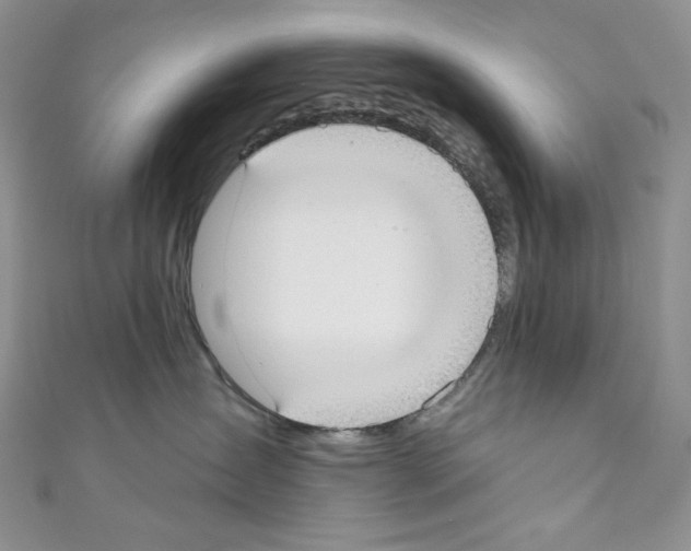 X0000110760431200907271147