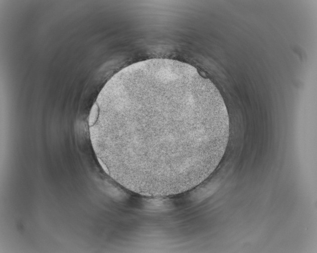X0000110760432200907271147