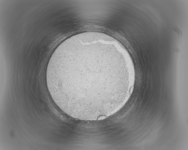 X0000110760433200907271147