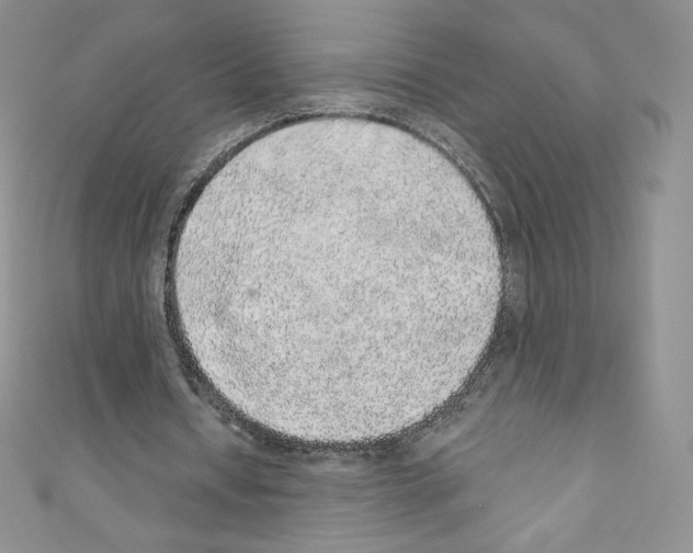 X0000110760434200907271147