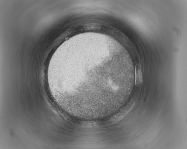 X0000110760435200907271147
