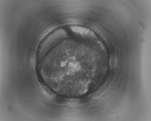 X0000110760436200907271147