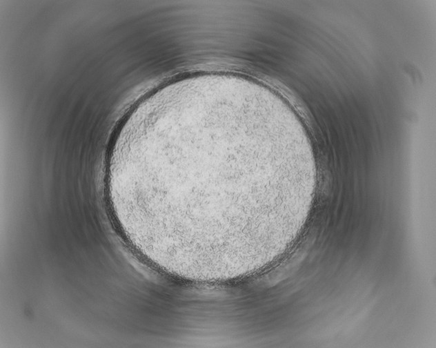 X0000110760437200907271147