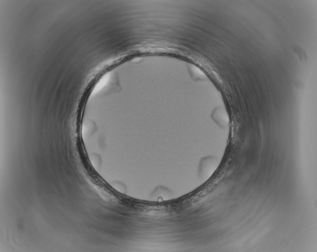 X0000110760438200907271147