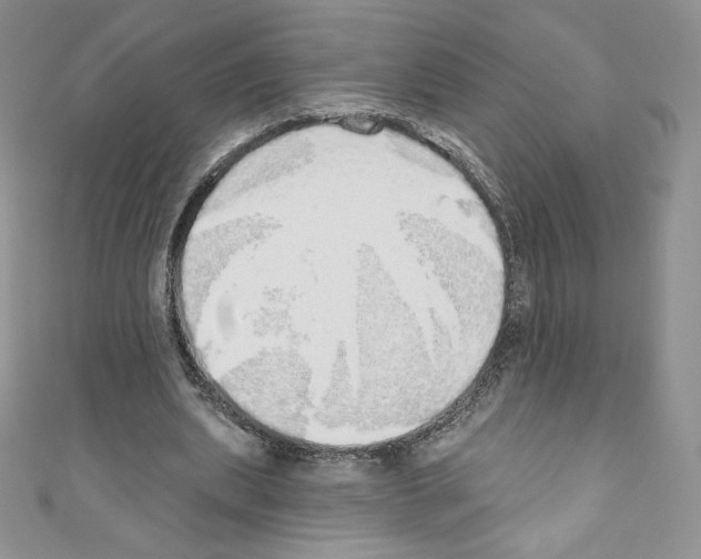 X0000110760439200907271147