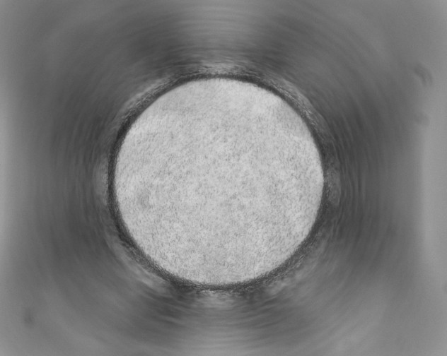 X0000110760442200907271147
