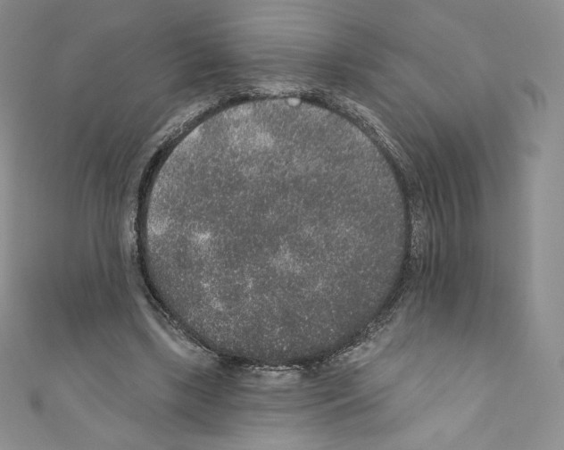 X0000110760443200907271147