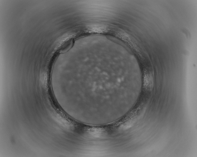 X0000110760444200907271147
