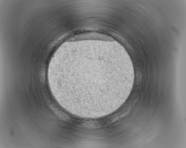X0000110760446200907271147