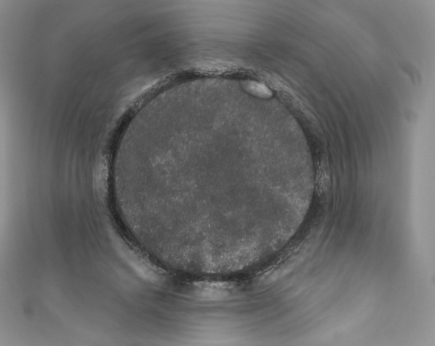 X0000110760448200907271147