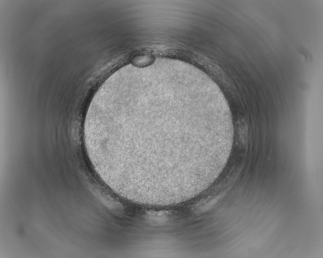 X0000110760450200907271147