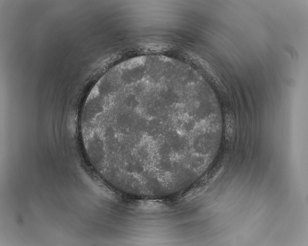 X0000110760451200907271147