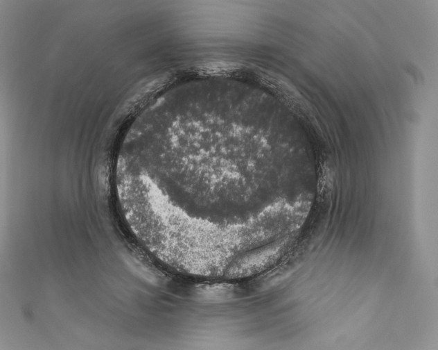 X0000110760452200907271147