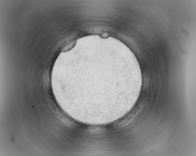 X0000110760453200907271147