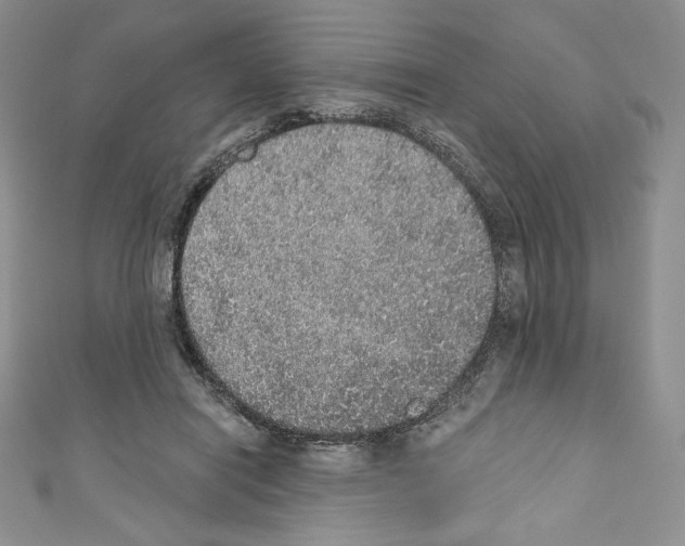 X0000110760454200907271147