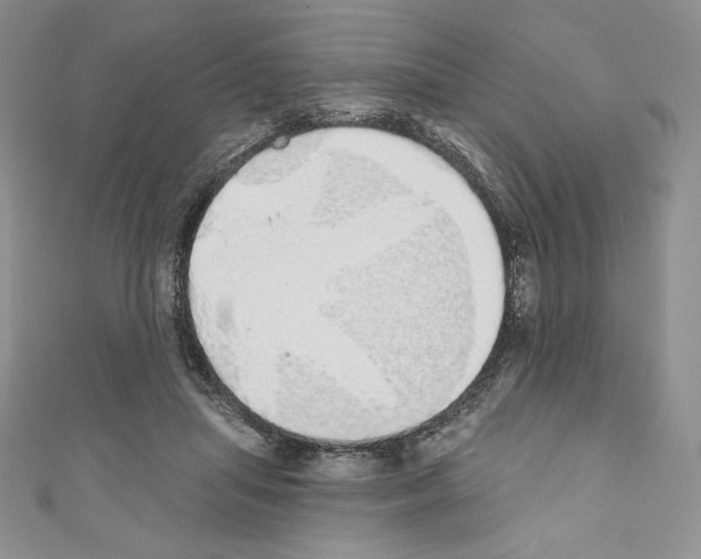 X0000110760455200907271147