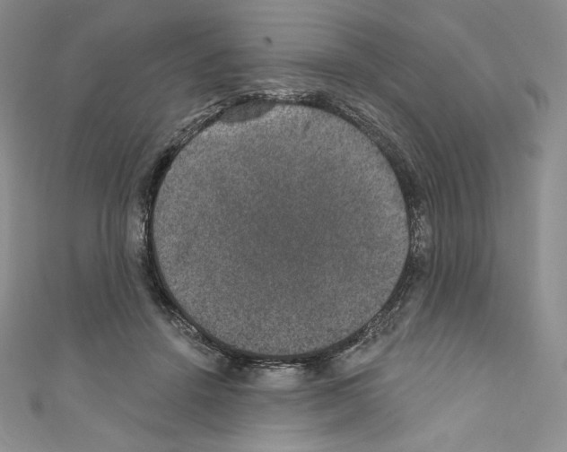 X0000110760456200907271147