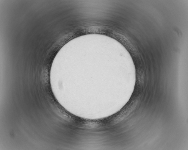 X0000110760457200907271147