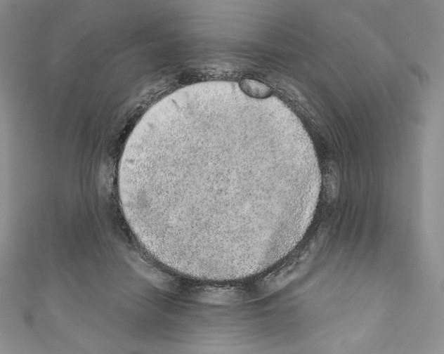 X0000110760458200907271147