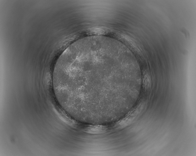 X0000110760459200907271147