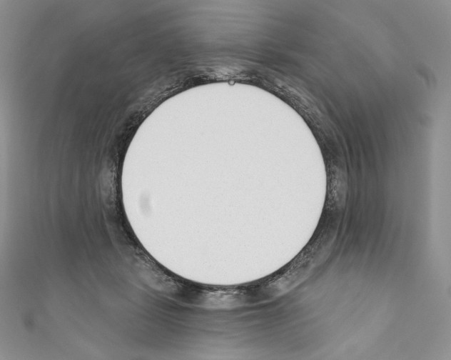 X0000110760461200907271147