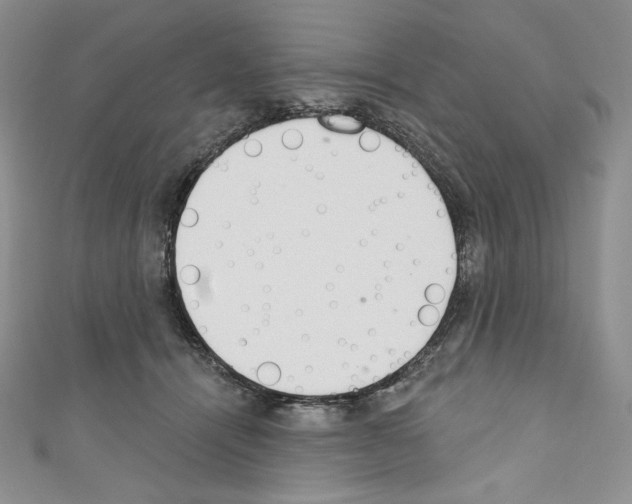X0000110760464200907271147