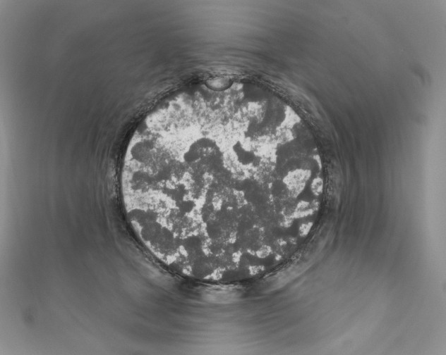 X0000110760465200907271147